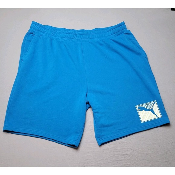 Puma Shorts Men's 3XLT Mykonos Blue Crosswise - Gym Shorts EUC - Picture 1 of 5